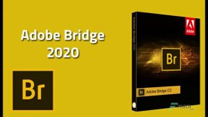 Adobe Bridge CC 2020 Full_ Không Crack