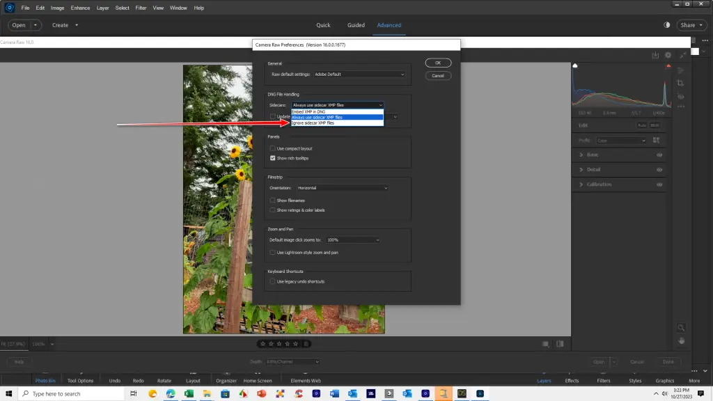Cài Adobe Camera Raw 16 for Windows & 13 for MacOS